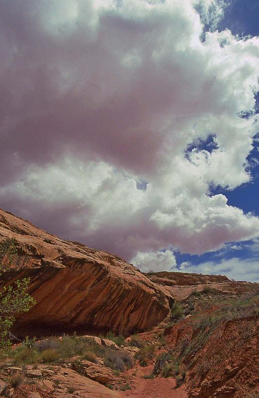 2001-04 Utah Trip 048 Mule Creek Canyon.jpg